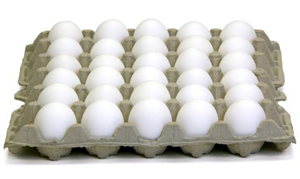 اسعار مبيعات البيض الابيض اليوم في بورصة بيض الحمامي